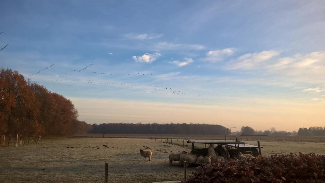 Boerderijkamer Korenbloem Onstwedde 외부 사진