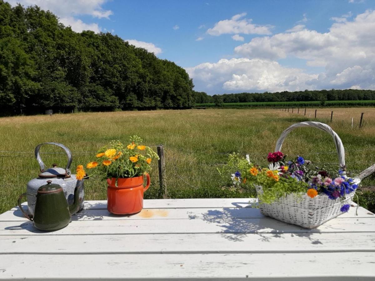 Boerderijkamer Korenbloem Onstwedde 외부 사진